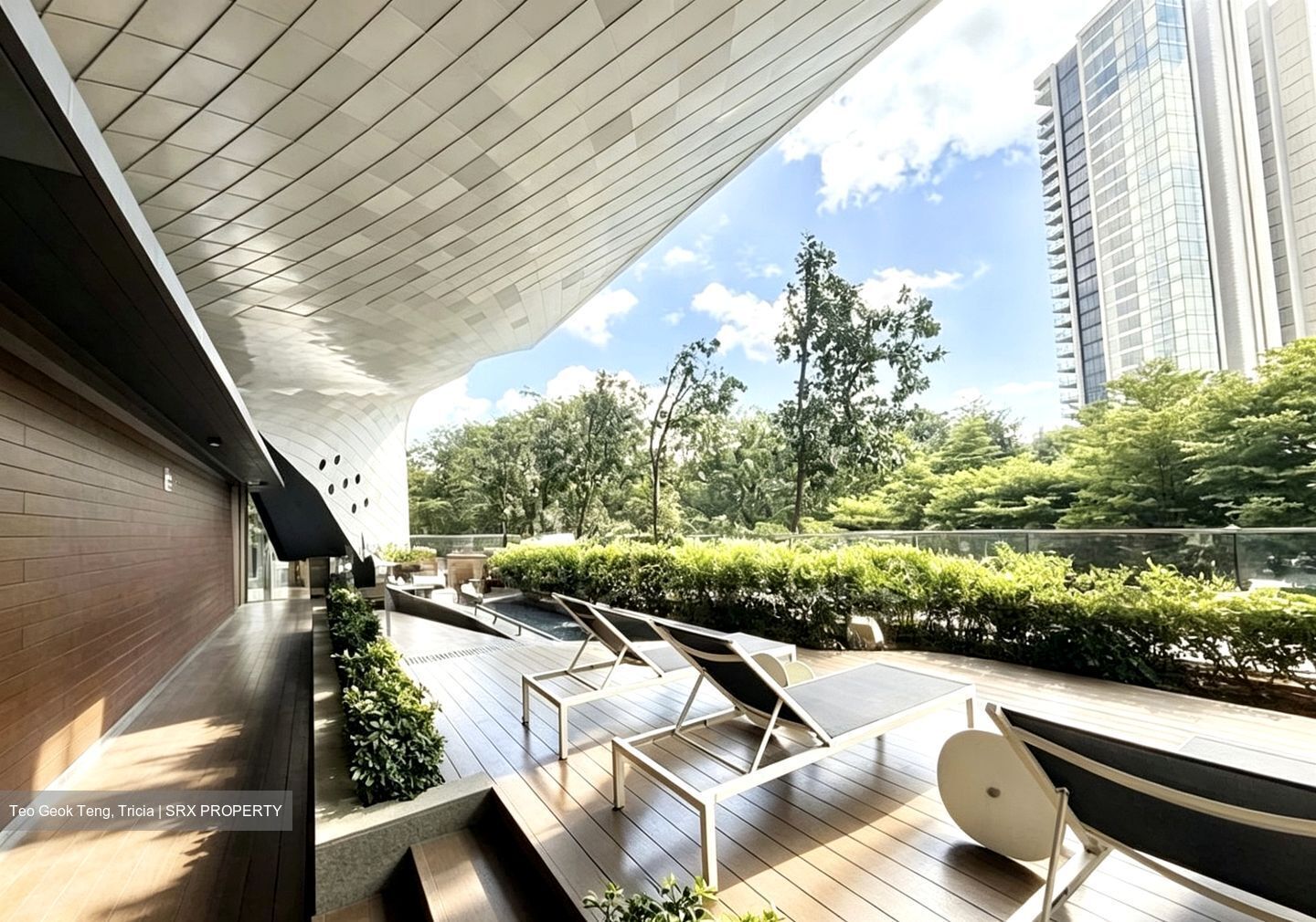 The Scotts Tower (D9), Condominium #548783561
